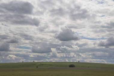 Rusya'da mavi gökyüzü ve beyaz bulutlar altında yeşil bir alan manzaralı yaz manzara