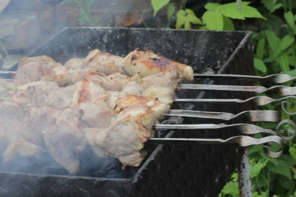 Barbecue op de grill Rechtenvrije Stockfoto's