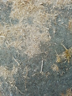 Kırık yer alan zemin dokulu arka plan için kuru ot