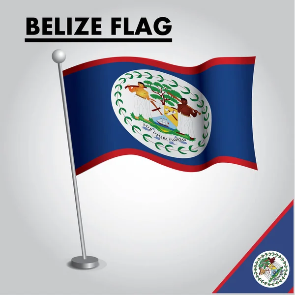 Icono Bandera Belice Bandera Nacional Belice Palo — Vector de stock