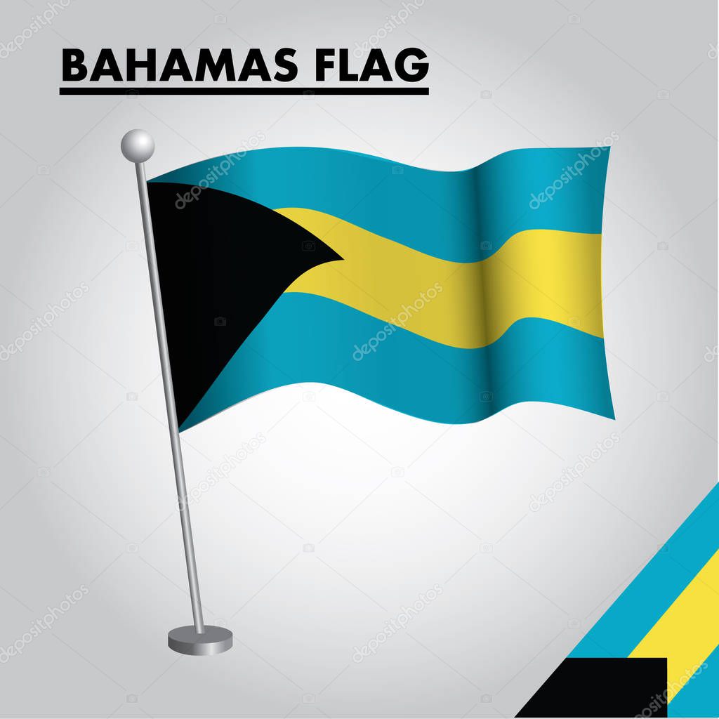 Bahamas flag icon. National flag of Bahamas on a pole