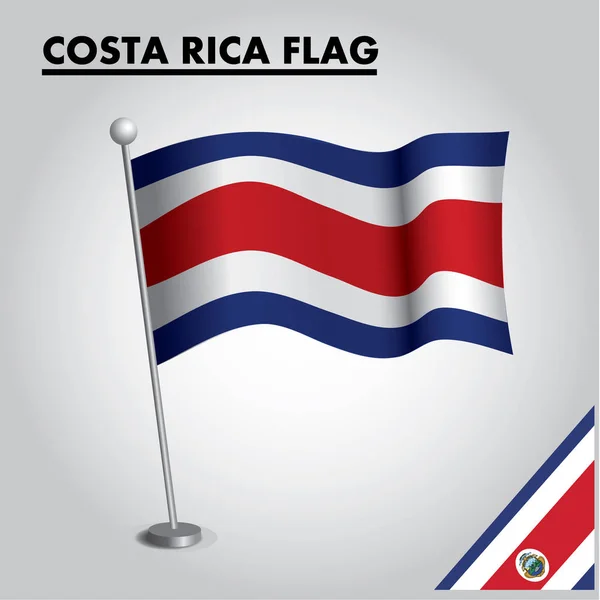 Icono Bandera Costa Rica Bandera Nacional Costa Rica Palo — Vector de stock