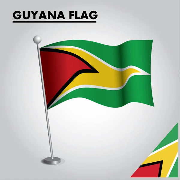 Значок Гайана Прапор Національний Прапор Гайани Полюсі — стоковий вектор