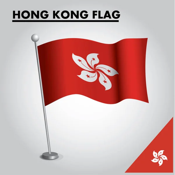 Bir kutup üzerinde Hong Kong Ulusal bayrağı