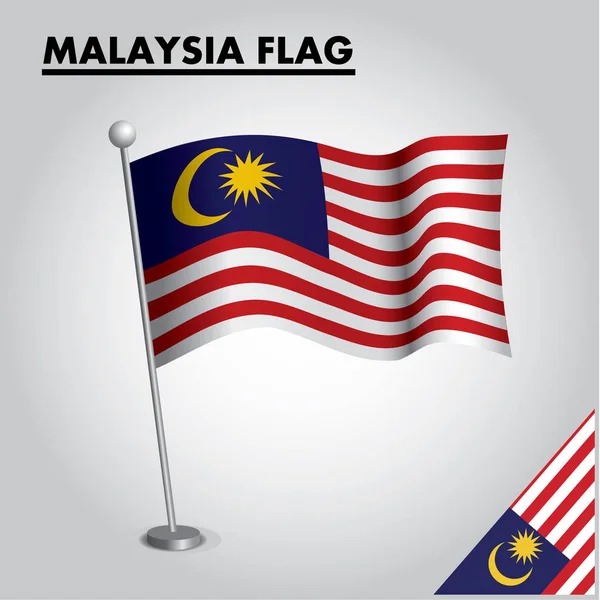 Bandera Nacional Malasia Palo — Vector de stock