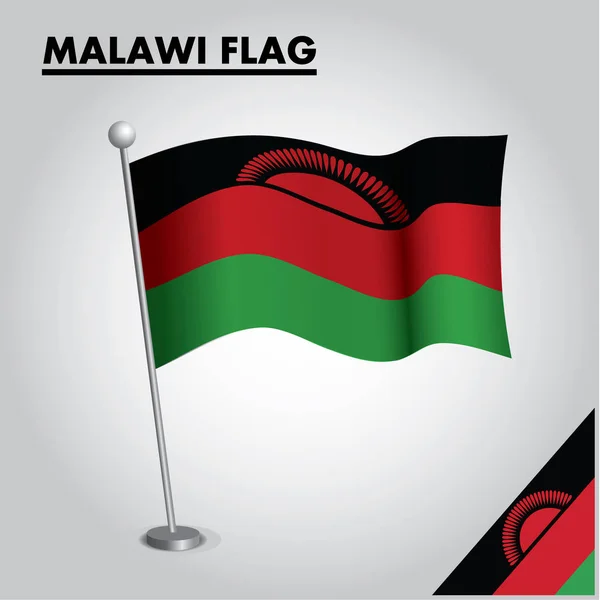 Medborgare Sjunker Malawi Pole — Stock vektor
