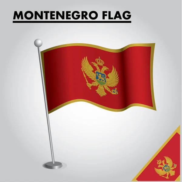 Nationale Vlag Van Montenegro Een Paal — Stockvector