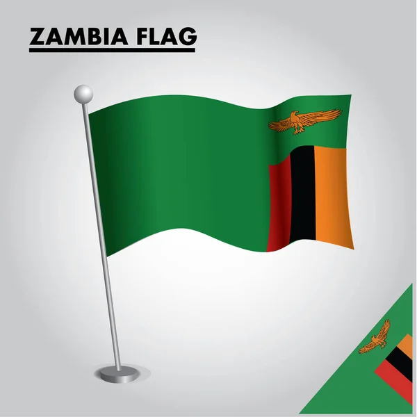 Bandera Nacional Zambia Palo — Vector de stock