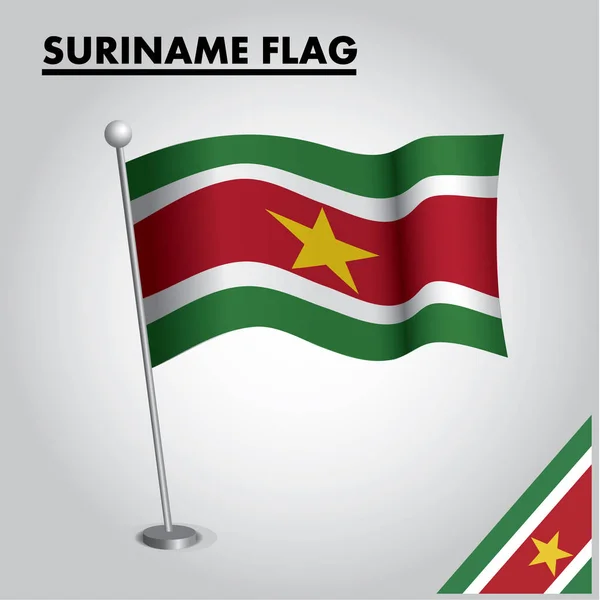 Bir kutup üzerinde Surinam Ulusal bayrağı