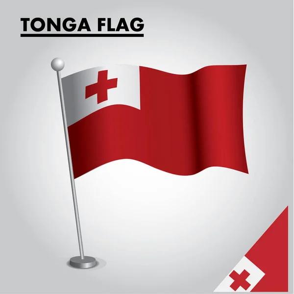 Nationalflagge Der Tonga Einer Stange — Stockvektor