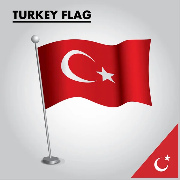 Bandera Nacional Turquía Poste — Vector de stock