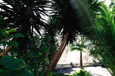 Turistlerin ve yerlilerin manzaraya hayran olduğu gözlem güvertesindeki yeşil ağaçlar ve palmiye çalıları