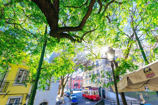 Lisbon Portugal Janus 2018 Eine Aussichtsplattform Mit Baum Und Laterne — Stockfoto