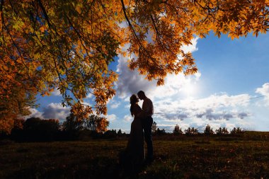 silhouette  husband and wife  standing face to face on the background of meadow and sky clipart