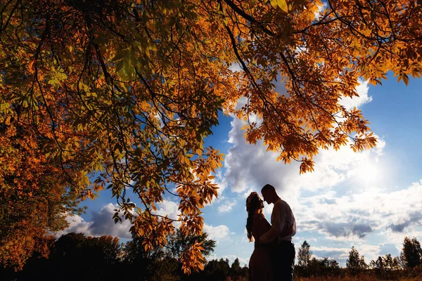 Karı Koca Ağaçlar Bulutlu Gökyüzü Arka Plan Üzerinde Yakınındaki Silüeti — Stok fotoğraf