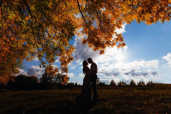 シルエットの夫と妻が顔を草原と空の背景に立って — ストック写真
