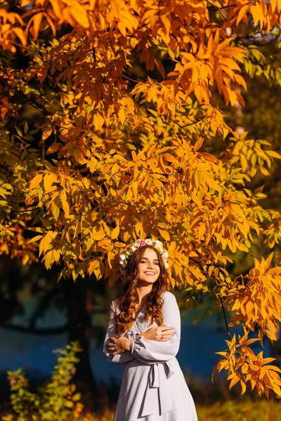 Sincere Smile Young Woman Background Trees Yellow Leaves Beautiful Sunny — Stock Photo, Image