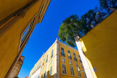 Lisbon, Portekiz - 28 Ocak 2018 yeşil ağaçlar ile bina bir. büyük ağaçlar çatıda yerleştirerek alışılmadık bir fikir