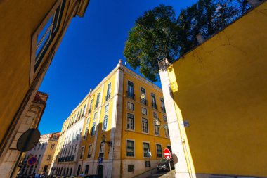 Lisbon, Portekiz - 28 Ocak 2018 büyük yeşil ağaçlar bina ve bir küçük gözlem güverte çatısında