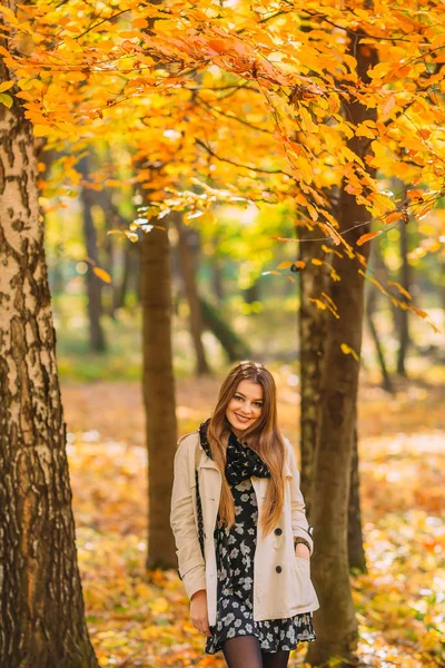 Młoda Piękna Kobieta Stylowy Płaszcz Jesień Spaceru Parku Słoneczny Dzień — Zdjęcie stockowe