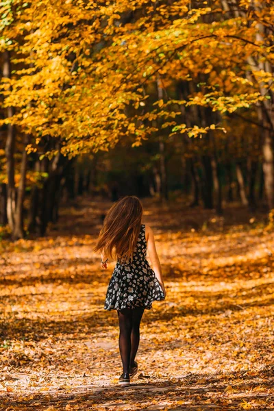 Смешная Счастливая Девушка Длинными Волосами Великолепном Платье Работает Золотом Осеннем — стоковое фото
