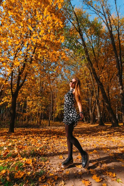 Sukienka Piękna Szczupła Dziewczyna Wiruje Wokół Zabawy Lesie Jesienią Słoneczny — Zdjęcie stockowe