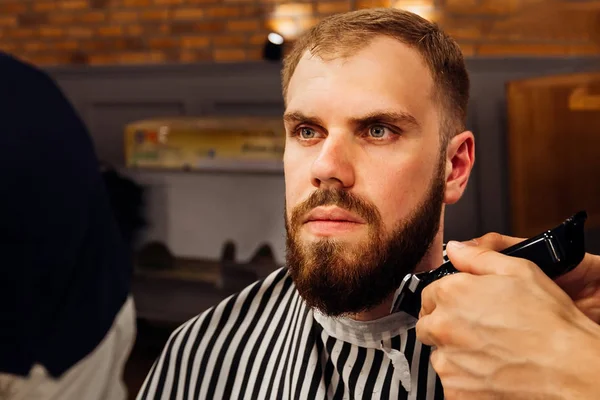 the hairdresser holds the trimmer in his arms and makes a stylish and professional beard grooming  for a man with a long beard