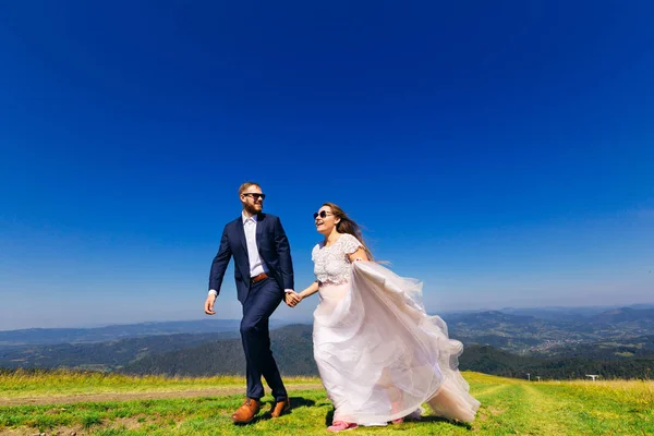 快乐的新婚夫妇在山顶上的太阳镜握着手 欣赏风景 — 图库照片