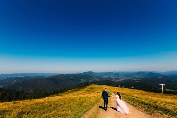 Uma Vista Incrível Das Montanhas Com Florestas Horizonte Recém Casados — Fotografia de Stock