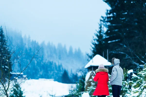 Para Zakochanych Stanąć Powrotem Aparatu Podziwiać Wspaniały Pokryte Śniegiem Góry — Zdjęcie stockowe