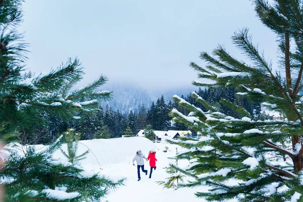 Guy Girl Winter Clothes Holding Hands Running Coniferous Trees Covered — Stock Photo, Image