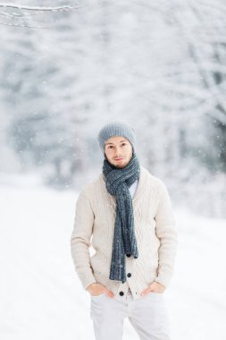 Bir sakallı bir adam onun ellerini ceplerine tutar ve kamera objektifi kış parkta bakar. Adam şık bir atkı ve şapka vardır