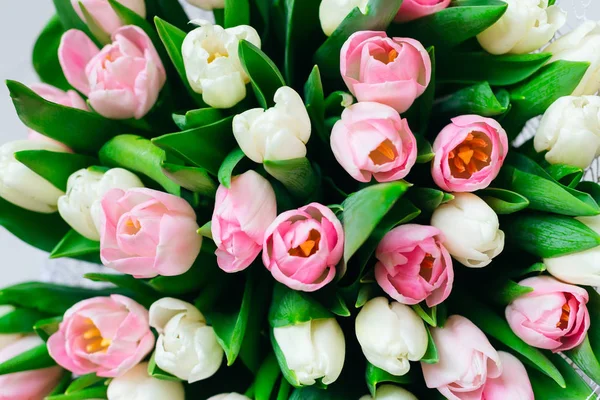 Аромат Тюльпанов Нежный Розовый Белый Зелеными Листьями — стоковое фото