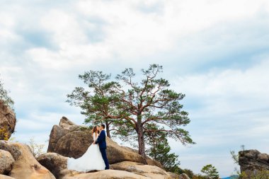 Yeni evliler yüz yüze kayaların üzerinde duran ağaçların yakınındaki