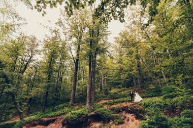 Yeni evliler dramatik ormanda el ele tutuşuyorlar.