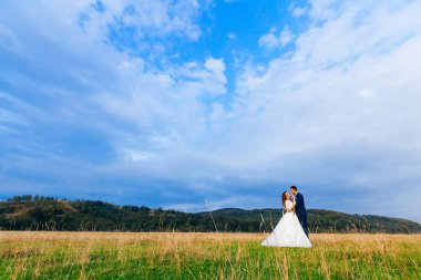 Gelin damat kucaklayan ve onlar birbirlerine bakıyorlar. Onlar hills yakınlarında çimenlikte ormanıyla kaplıdır