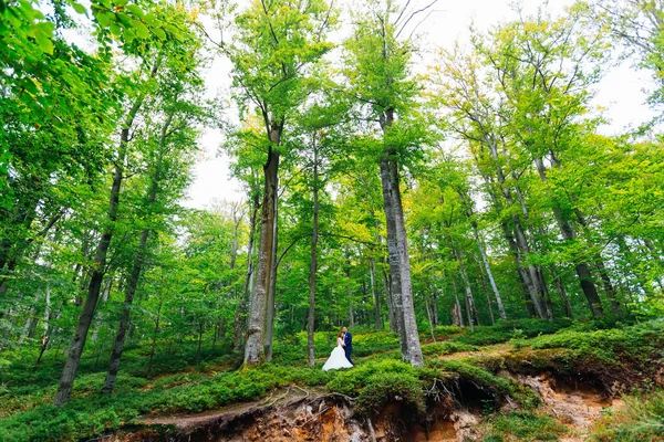 Nowożeńcy Przytulanie Pięknym Lesie — Zdjęcie stockowe