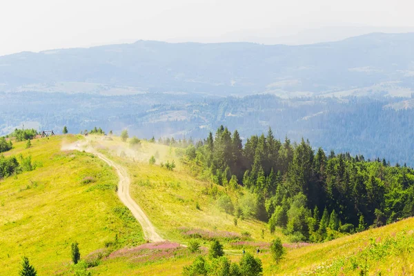 Dağın tepesindeki bir çayır ve bu çayırdan geçen toprak bir yol. Yoldan dağın tepesine giden tozlar.