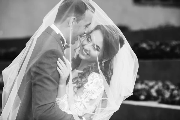新婚夫妇覆盖着一个婚纱面纱拥抱对方在黑白摄影 — 图库照片