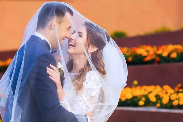 新婚夫妇覆盖着一个婚纱拥抱和微笑真诚靠近花坛 — 图库照片