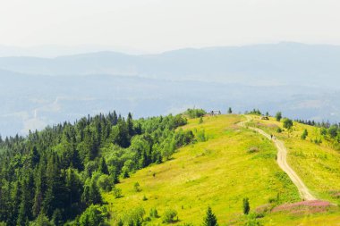 Çayır dağın tepesinde ve dağların Panoraması üzerinde muhteşem bir görünüm. Kirli bir yolun ortasında bir çayır üzerinde yeni evliler yürümek