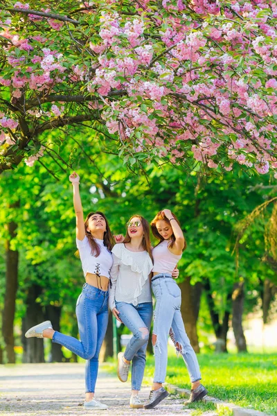 Young Hipster Women Having Fun Together Cherry Spring Garden Sunset — Stock Photo, Image