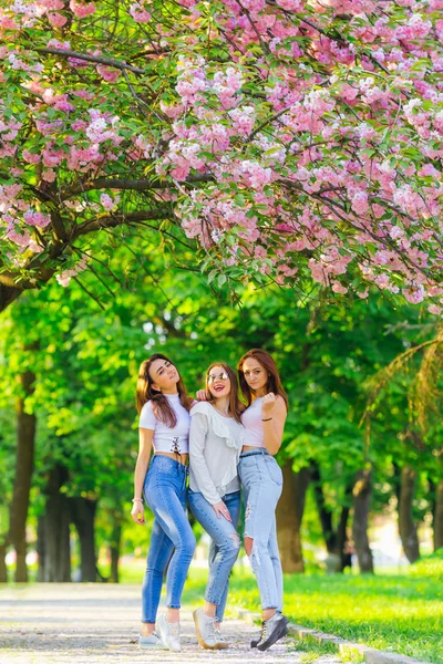 Belle Ragazze Che Divertono Migliore Amico Giardino Primaverile — Foto Stock