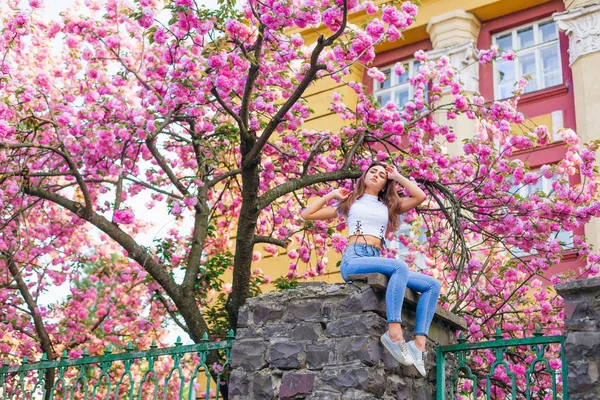 Женщина Наслаждается Весной Каменном Столбе Рядом Цветущим Сакурой Розовое Дерево — стоковое фото