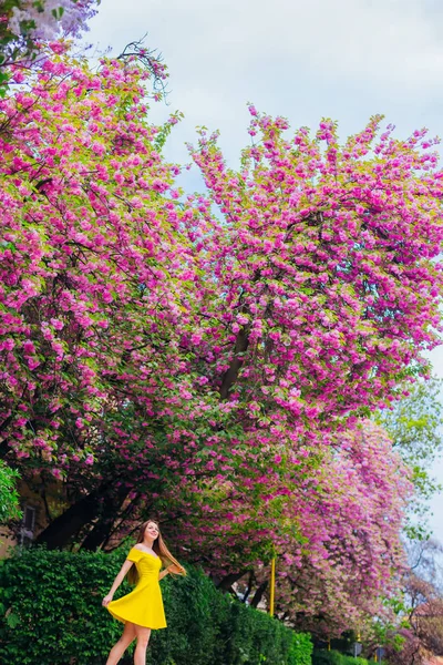Dziewczyna Żółtej Sukience Wygląda Odległość Chodniku Pobliżu Japońskiej Wiśni Krzewów — Zdjęcie stockowe
