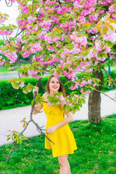 Красивая Девушка Держит Ветку Японской Вишни Смотрит Розовые Цветы — стоковое фото