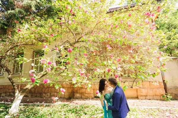 Krásný Magnolie Strom Květy Budovy Pár Lásce Všeobjímající Navzájem Poblíž — Stock fotografie