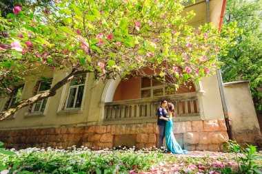 Manolya dalları çiçek ve çiçek yaprakları yere.