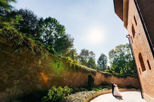 Прекрасная романтическая свадебная пара молодоженов, обнимающихся возле Буила
