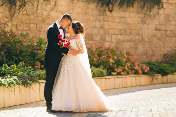 A happy couple of newlyweds gently embrace each other. bride hol — Stock Photo, Image